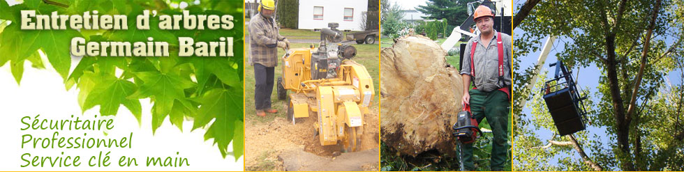 entretien_arbres
